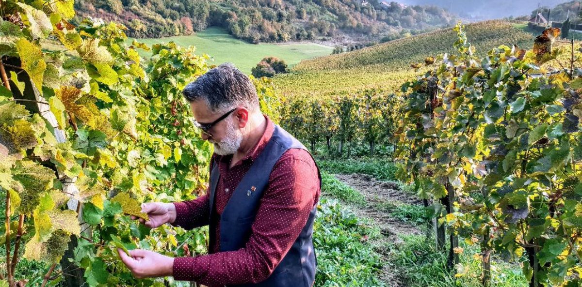 Drinking Up With The Dodigs